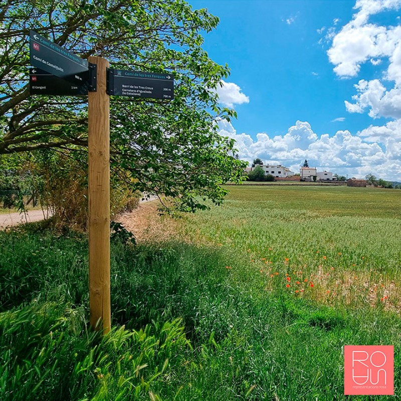 Banderola per Anella Verda